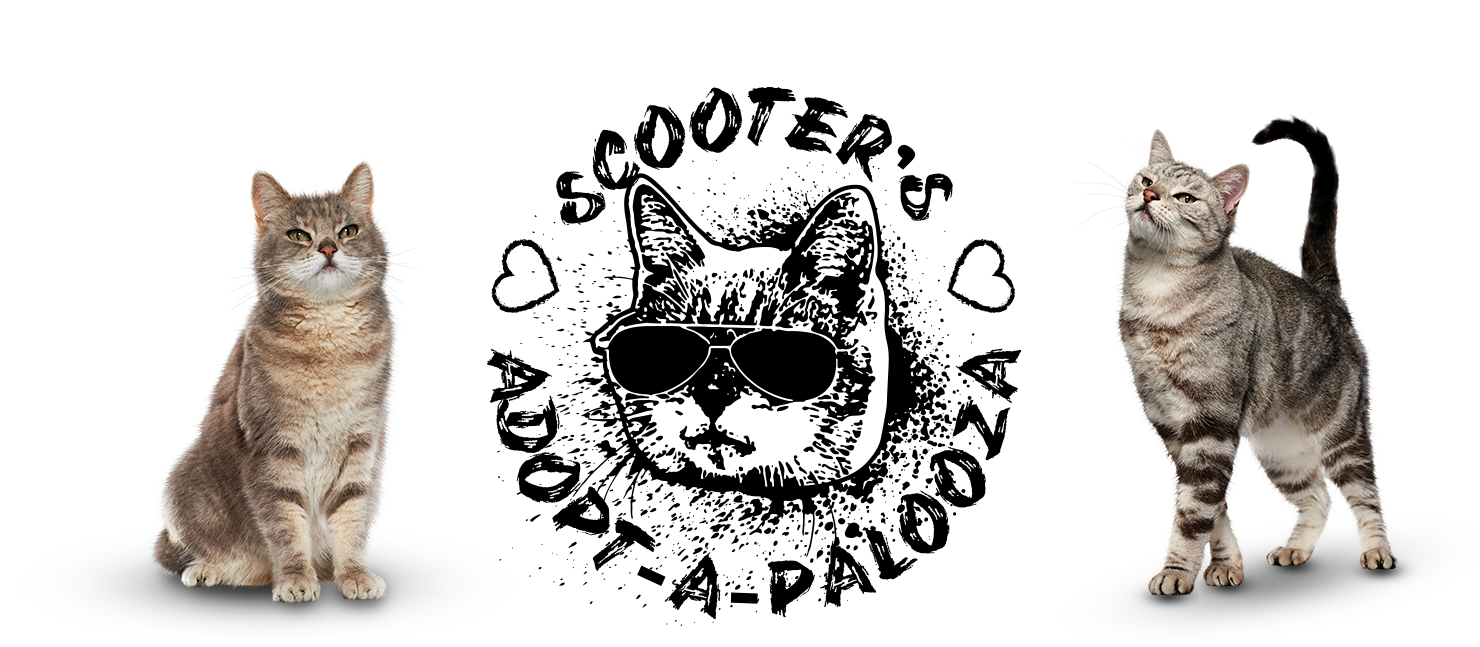 Adoption_Logo_Desktop