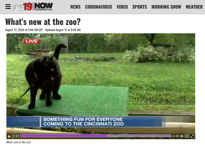 Thane Maynard Describes the Cincinnati Zoo’s Partnership with the Joanie Bernard Foundation on Fox19 Morning Extra