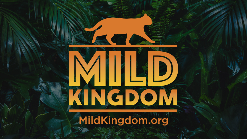 Scooter the Neutered Cat Launches New “Mild Kingdom” Campaign for Community Cat Awareness