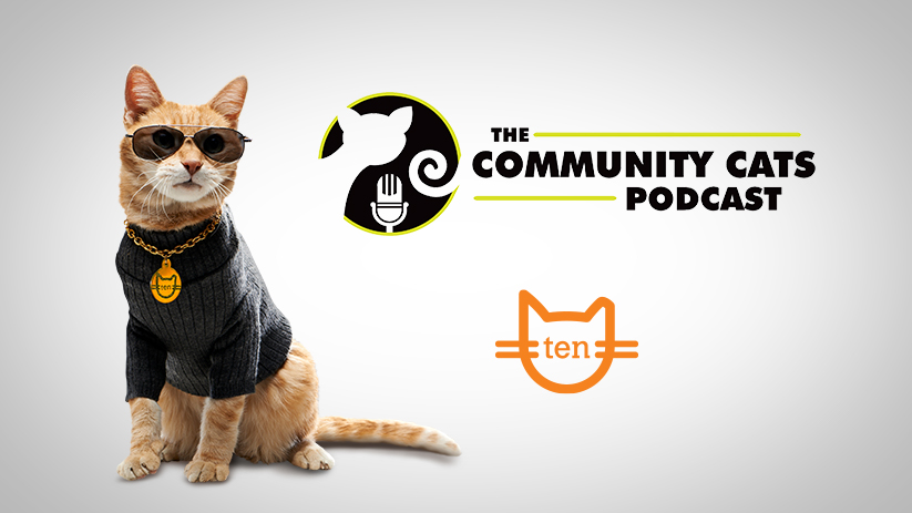 Ten Movement Chair Deborah Cribbs Appears on National Community Cat Podcast