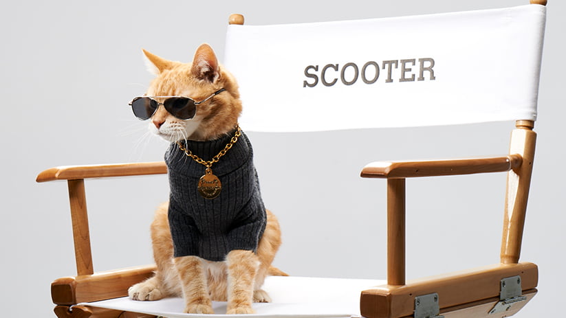 K99.1-FM host Nancy Wilson shares how she’s head-over-paws for Scooter with Deborah Cribbs