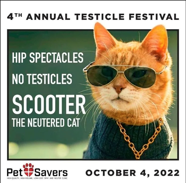 Pet Savers offering free spay/neuter for 75 cats at 4th Annual Testicle Festival