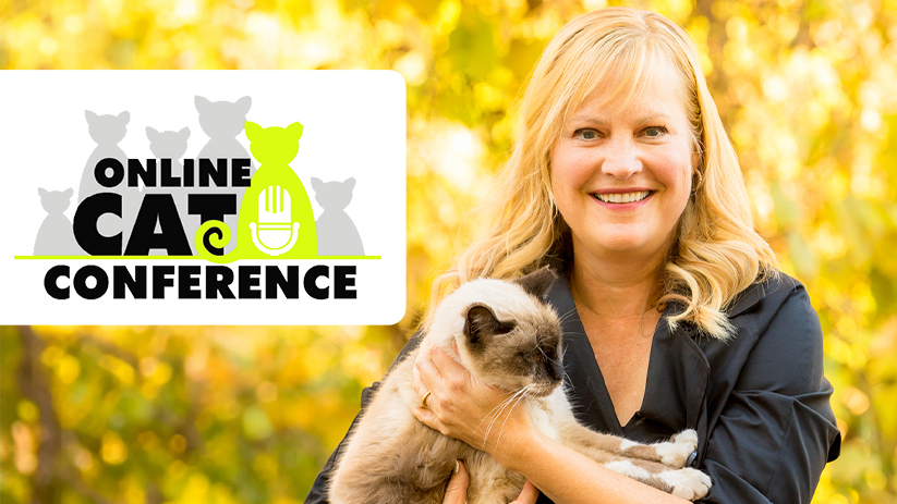 Deborah Cribbs Presents at the 7th Annual Online Community Cat Conference