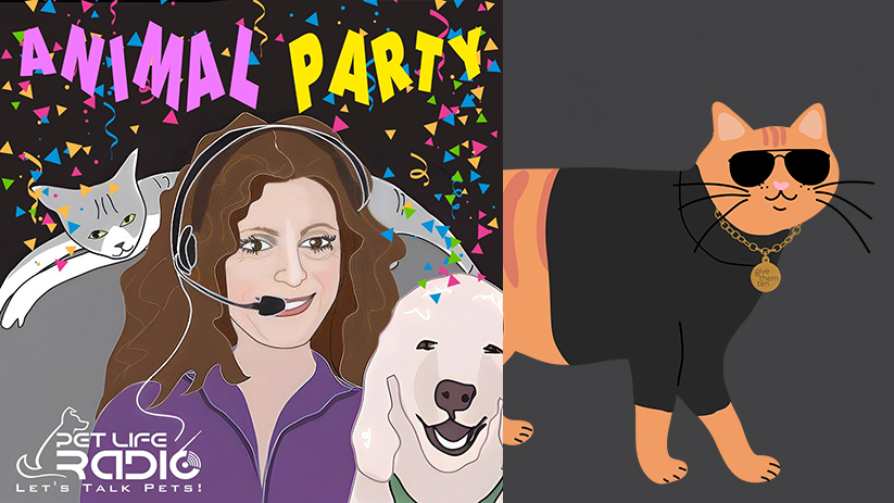A Global Look at Cat Culture: Animal Party Podcast