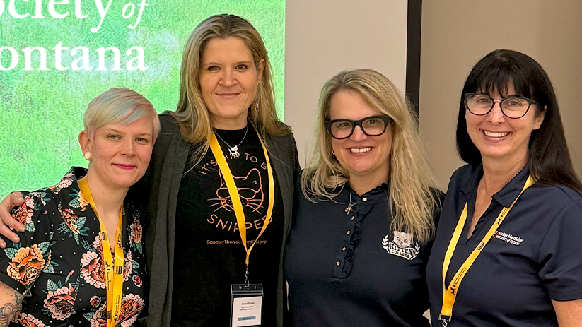 Give Them Ten Presents “TNR in Action” at Mountain Animal Welfare Summit