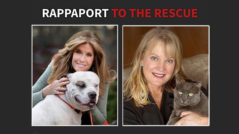 Something to Purr About: Give Them Ten Featured on Rappaport to the Rescue