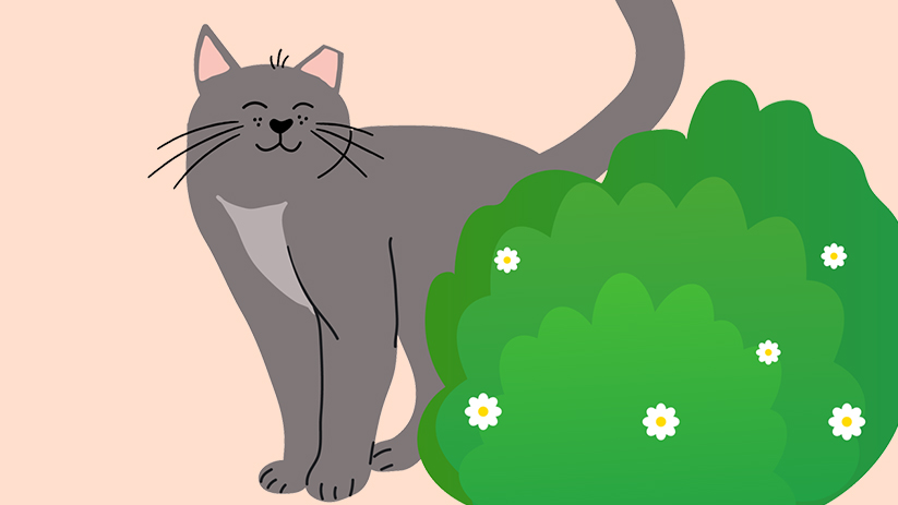 Give Them Ten Presents at SW Ohio Community Cat Summit