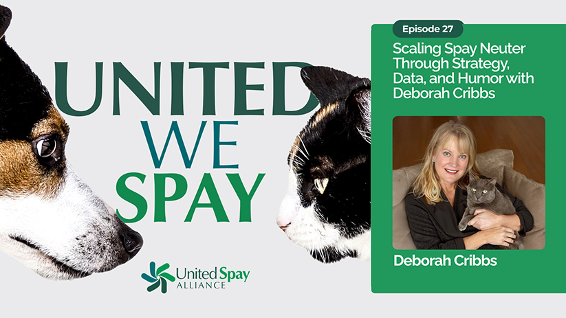 United We Spay Podcast: Strategy, Data, and a Bold Vision for Cats