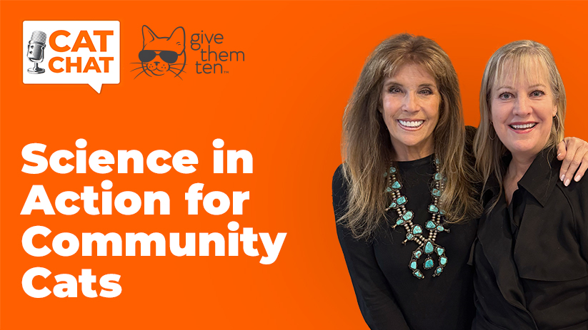 A Breakthrough That Could Transform TNR: “Cat Chat” Returns to the Cincinnati Zoo