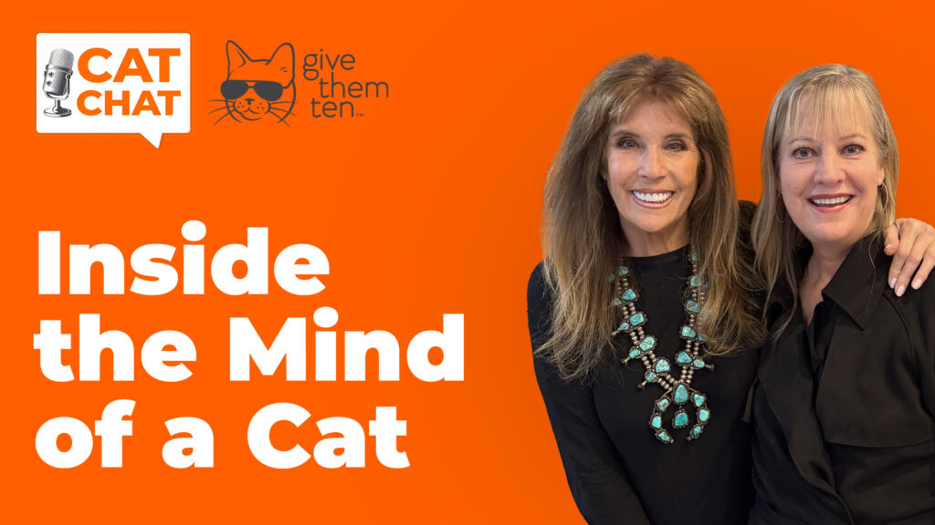 Inside the Feline Mind: Understanding How Cats Learn