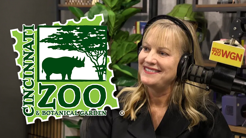 Deborah Cribbs Talks About a Cat Sterilization Breakthrough on WGN Radio