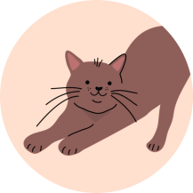 icon_cutecatstretching