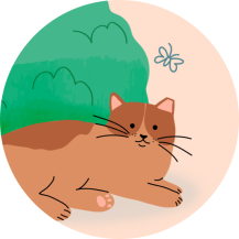 illustration_article026_2x