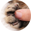 photo-thumbnail_article013_2x
