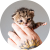 photo-thumbnail_article016_2x